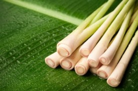 Health Benefits Lemongrass Tea