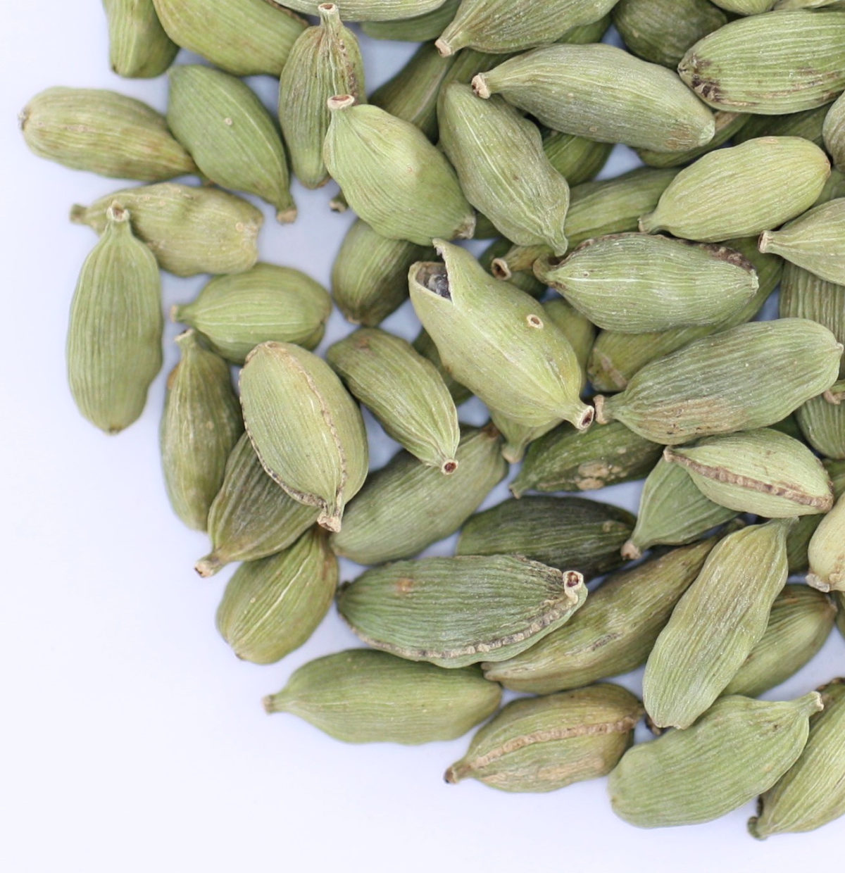 Green Cardamom Pods (Organic Chai Supplies)
