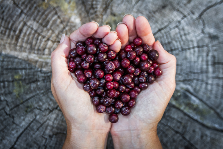 Huckleberries